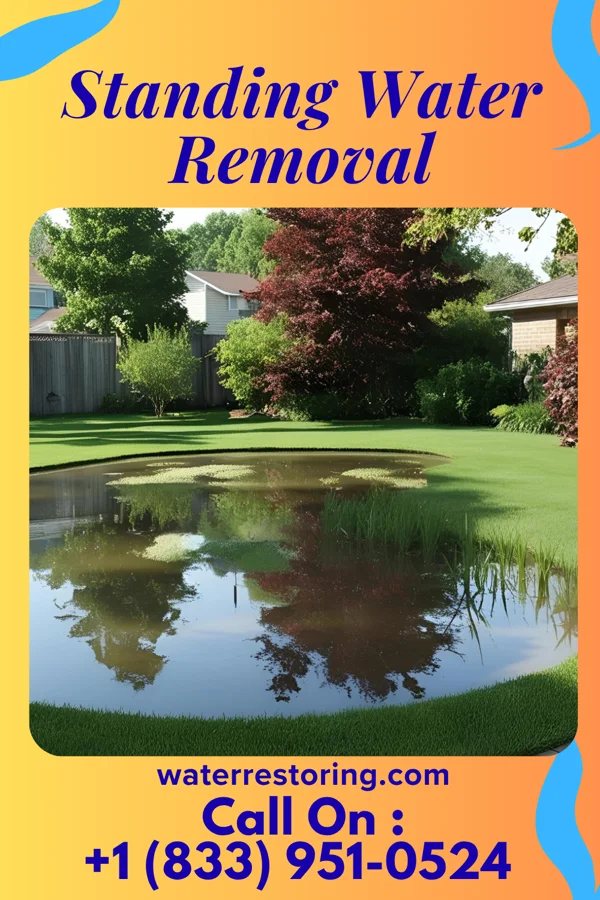 Standing Water Removal in Montrose, MO